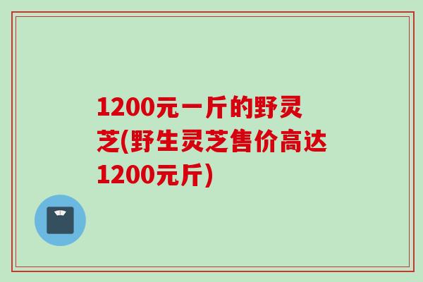 1200元一斤的野灵芝(野生灵芝售价高达1200元斤)