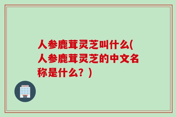人参鹿茸灵芝叫什么(人参鹿茸灵芝的中文名称是什么？)