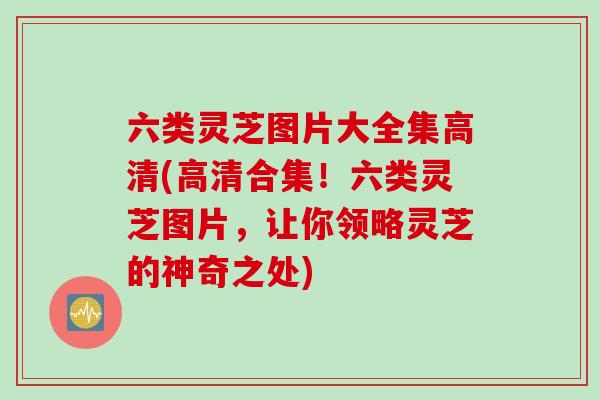 六类灵芝图片大全集高清(高清合集！六类灵芝图片，让你领略灵芝的神奇之处)