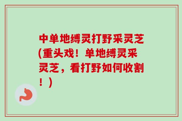 中单地缚灵打野采灵芝(重头戏！单地缚灵采灵芝，看打野如何收割！)