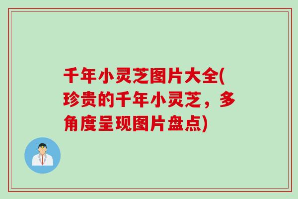 千年小灵芝图片大全(珍贵的千年小灵芝，多角度呈现图片盘点)