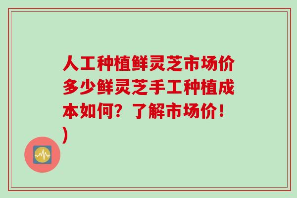 人工种植鲜灵芝市场价多少鲜灵芝手工种植成本如何？了解市场价！)