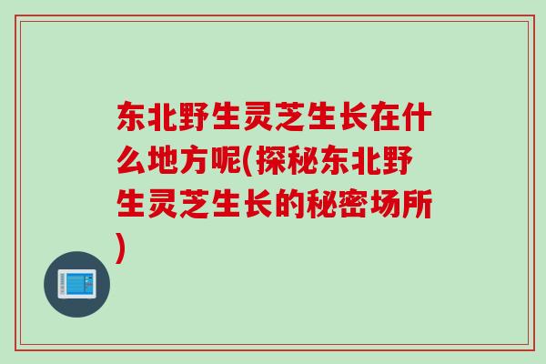 东北野生灵芝生长在什么地方呢(探秘东北野生灵芝生长的秘密场所)