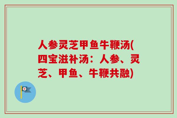 人参灵芝甲鱼牛鞭汤(四宝滋补汤：人参、灵芝、甲鱼、牛鞭共融)