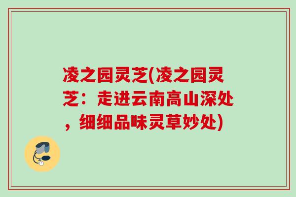 凌之园灵芝(凌之园灵芝：走进云南高山深处，细细品味灵草妙处)