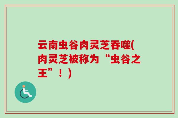 云南虫谷肉灵芝吞噬(肉灵芝被称为“虫谷之王”！)