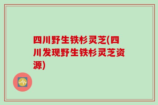 四川野生铁杉灵芝(四川发现野生铁杉灵芝资源)