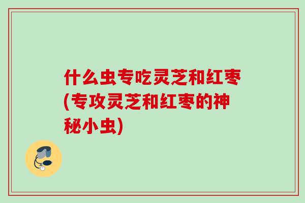 什么虫专吃灵芝和红枣(专攻灵芝和红枣的神秘小虫)