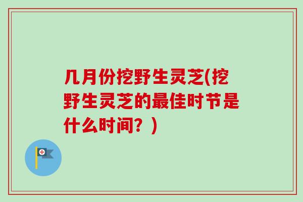几月份挖野生灵芝(挖野生灵芝的佳时节是什么时间？)