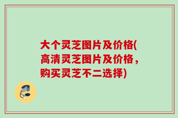 大个灵芝图片及价格(高清灵芝图片及价格，购买灵芝不二选择)