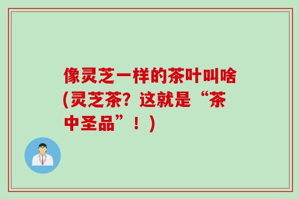 像灵芝一样的茶叶叫啥(灵芝茶？这就是“茶中圣品”！)