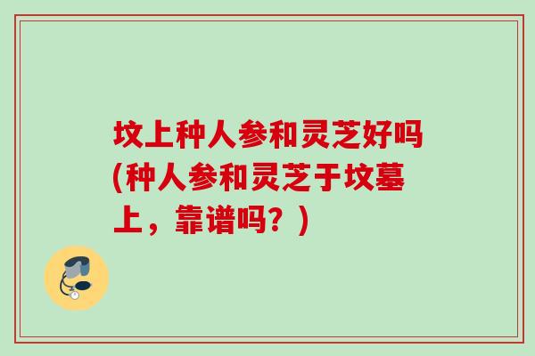 坟上种人参和灵芝好吗(种人参和灵芝于坟墓上，靠谱吗？)