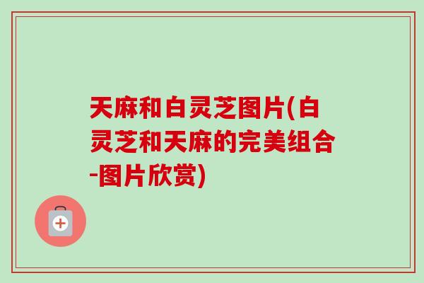 天麻和白灵芝图片(白灵芝和天麻的完美组合-图片欣赏)