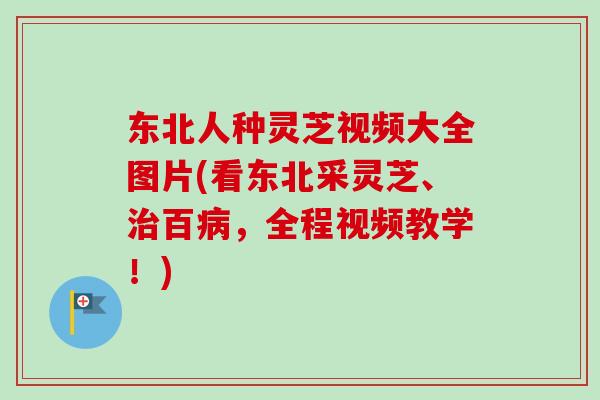东北人种灵芝视频大全图片(看东北采灵芝、百，全程视频教学！)