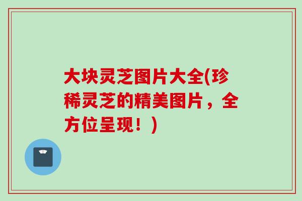大块灵芝图片大全(珍稀灵芝的精美图片，全方位呈现！)