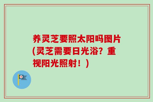 养灵芝要照太阳吗图片(灵芝需要日光浴？重视阳光照射！)