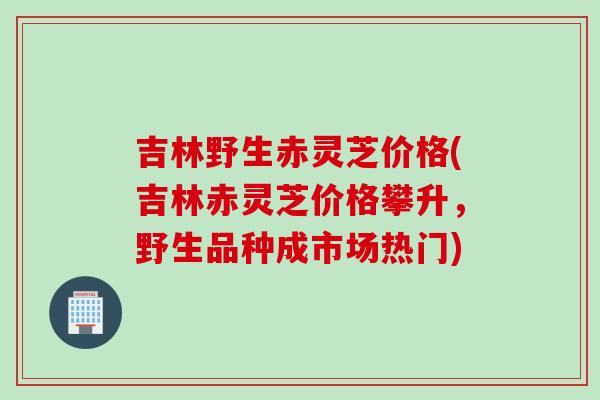 吉林野生赤灵芝价格(吉林赤灵芝价格攀升，野生品种成市场热门)