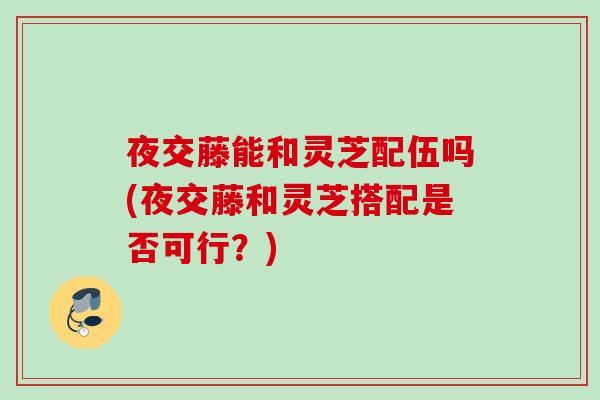 夜交藤能和灵芝配伍吗(夜交藤和灵芝搭配是否可行？)