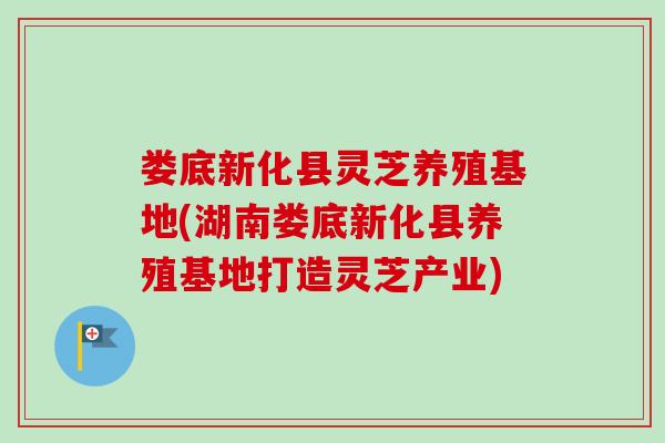 娄底新化县灵芝养殖基地(湖南娄底新化县养殖基地打造灵芝产业)