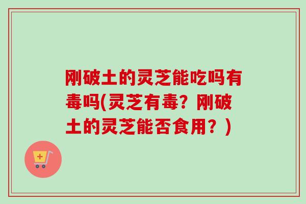 刚破土的灵芝能吃吗有毒吗(灵芝有毒？刚破土的灵芝能否食用？)