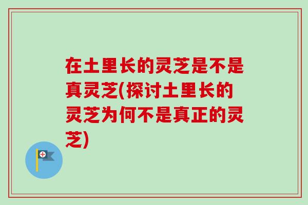 在土里长的灵芝是不是真灵芝(探讨土里长的灵芝为何不是真正的灵芝)