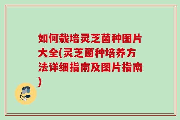 如何栽培灵芝菌种图片大全(灵芝菌种培养方法详细指南及图片指南)