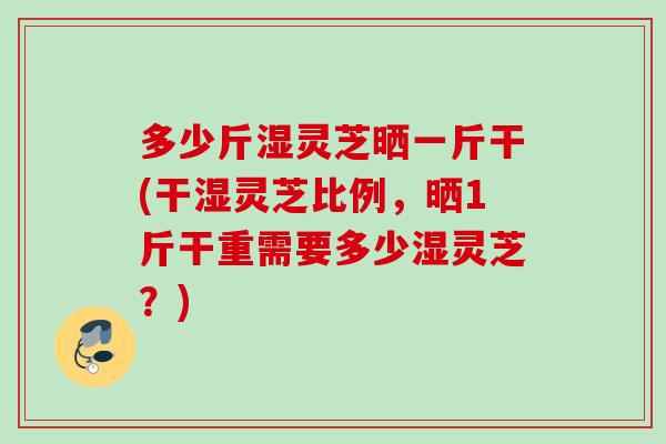 多少斤湿灵芝晒一斤干(干湿灵芝比例，晒1斤干重需要多少湿灵芝？)