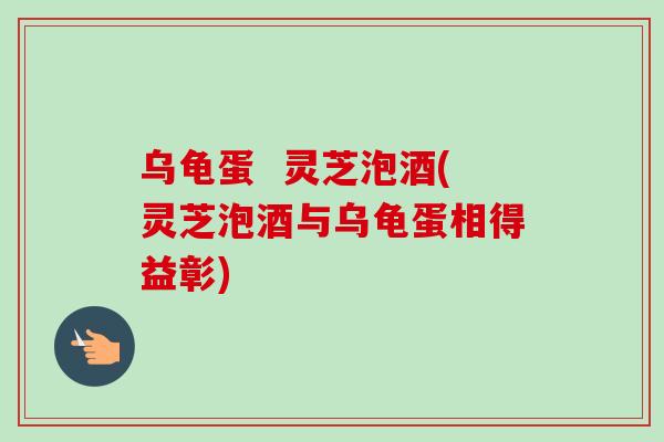 乌龟蛋  灵芝泡酒(灵芝泡酒与乌龟蛋相得益彰)