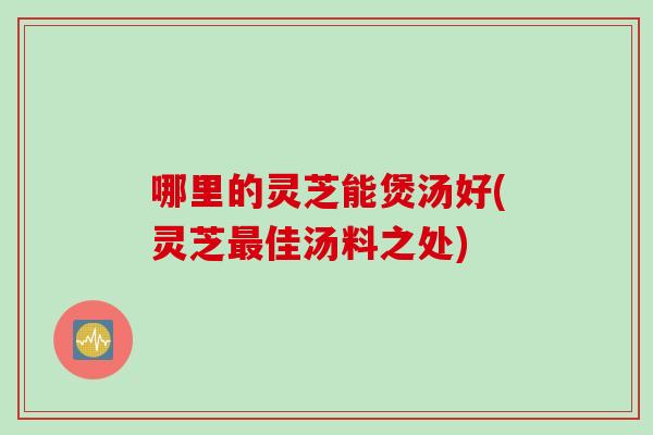 哪里的灵芝能煲汤好(灵芝佳汤料之处)