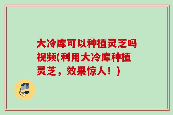 大冷库可以种植灵芝吗视频(利用大冷库种植灵芝，效果惊人！)