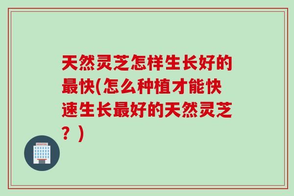 天然灵芝怎样生长好的快(怎么种植才能快速生长好的天然灵芝？)