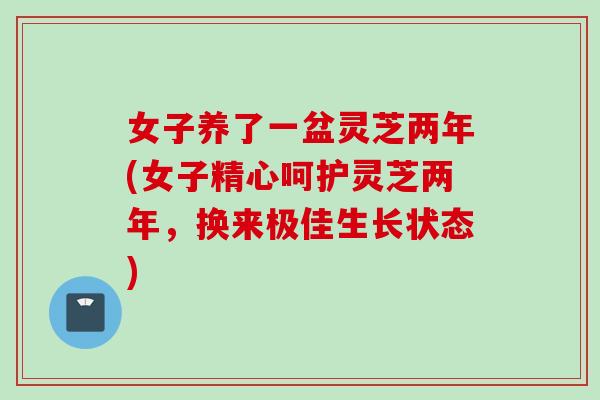 女子养了一盆灵芝两年(女子精心呵护灵芝两年，换来极佳生长状态)