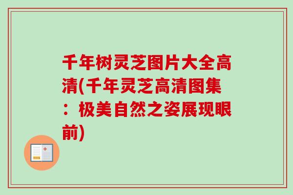 千年树灵芝图片大全高清(千年灵芝高清图集：极美自然之姿展现眼前)