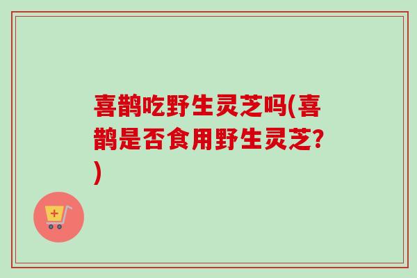 喜鹊吃野生灵芝吗(喜鹊是否食用野生灵芝？)