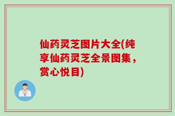 仙药灵芝图片大全(纯享仙药灵芝全景图集，赏心悦目)
