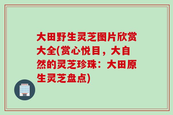 大田野生灵芝图片欣赏大全(赏心悦目，大自然的灵芝珍珠：大田原生灵芝盘点)