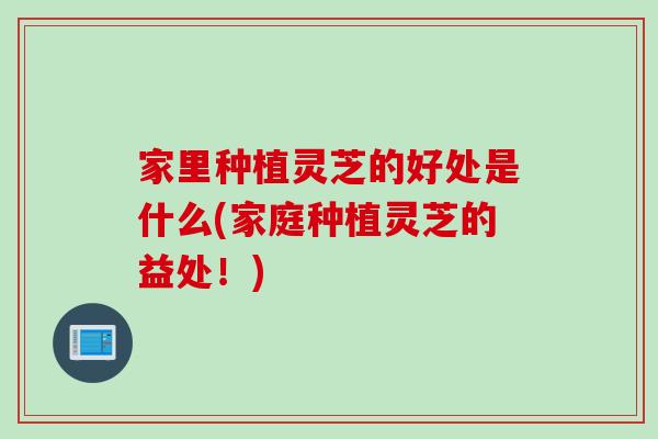 家里种植灵芝的好处是什么(家庭种植灵芝的益处！)