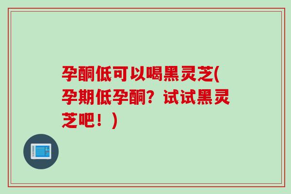 孕酮低可以喝黑灵芝(孕期低孕酮？试试黑灵芝吧！)