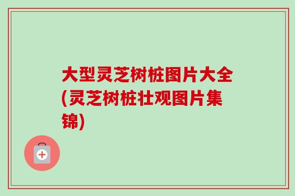 大型灵芝树桩图片大全(灵芝树桩壮观图片集锦)