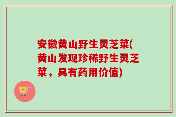 安徽黄山野生灵芝菜(黄山发现珍稀野生灵芝菜，具有药用价值)