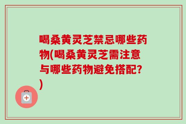 喝桑黄灵芝禁忌哪些(喝桑黄灵芝需注意与哪些避免搭配？)