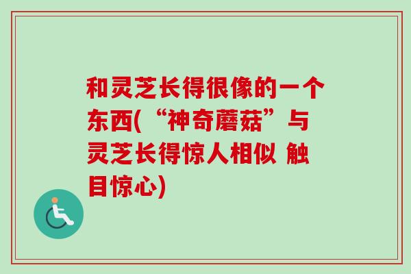 和灵芝长得很像的一个东西(“神奇蘑菇”与灵芝长得惊人相似 触目惊心)