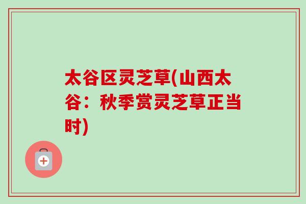 太谷区灵芝草(山西太谷：秋季赏灵芝草正当时)