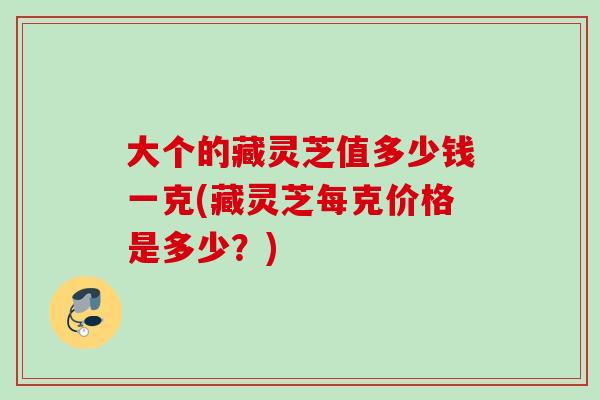 大个的藏灵芝值多少钱一克(藏灵芝每克价格是多少？)