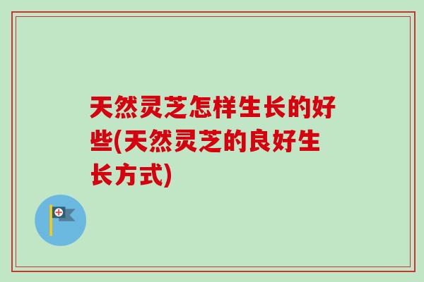 天然灵芝怎样生长的好些(天然灵芝的良好生长方式)