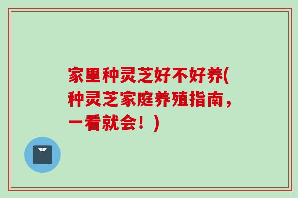 家里种灵芝好不好养(种灵芝家庭养殖指南，一看就会！)