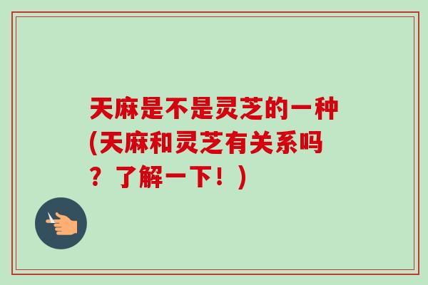 天麻是不是灵芝的一种(天麻和灵芝有关系吗？了解一下！)
