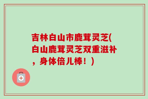吉林白山市鹿茸灵芝(白山鹿茸灵芝双重滋补，身体倍儿棒！)
