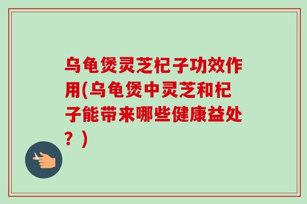 乌龟煲灵芝杞子功效作用(乌龟煲中灵芝和杞子能带来哪些健康益处？)
