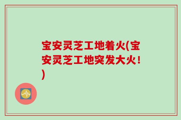 宝安灵芝工地着火(宝安灵芝工地突发大火！)